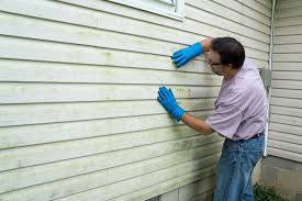 Affordable Siding Repair and Maintenance Services in Denmark, SC